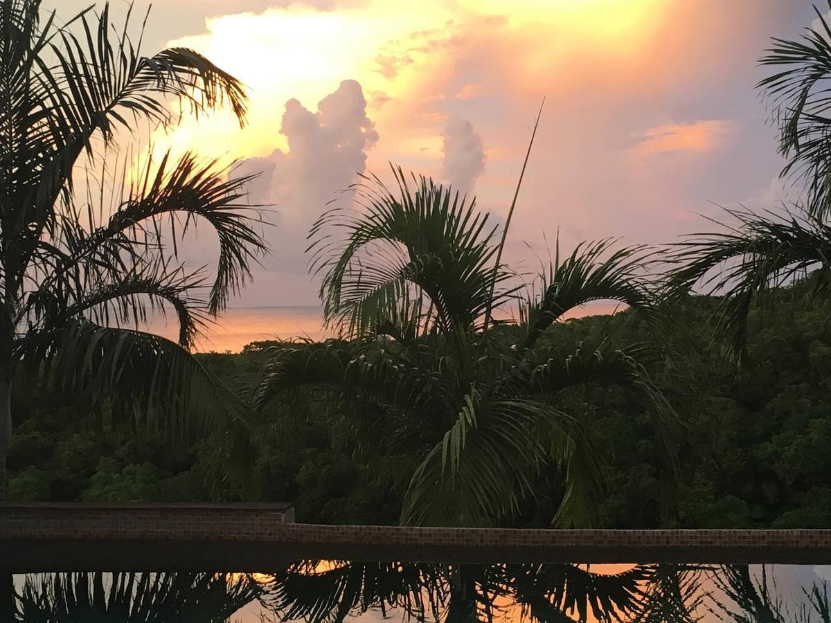 Luxury Villa Sleeps 6, Beach Access, Montego Bay Buitenkant foto