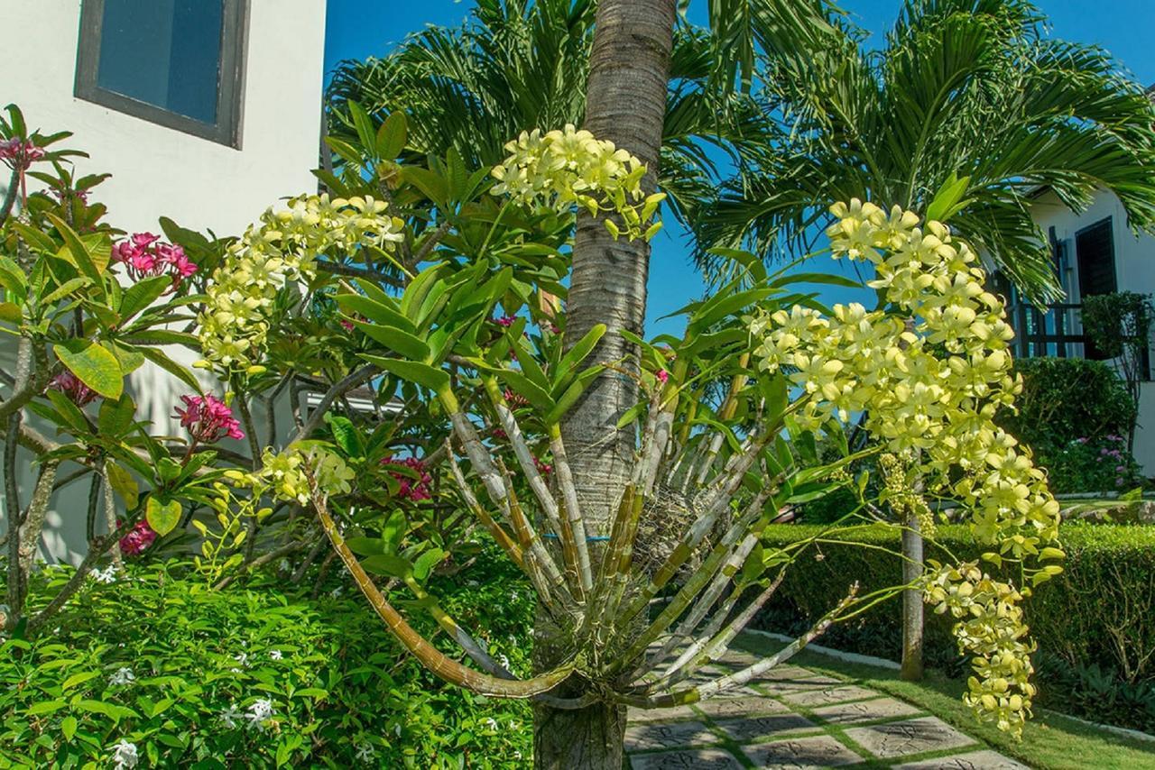 Luxury Villa Sleeps 6, Beach Access, Montego Bay Buitenkant foto